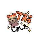 シーズー子犬が動く！♪（個別スタンプ：10）