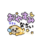 シーズー子犬が動く！♪（個別スタンプ：12）