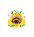 うちの愛犬(しえる)スタンプ2（個別スタンプ：4）