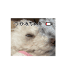 動くめろちスタンプ（個別スタンプ：3）