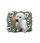 動くめろちスタンプ（個別スタンプ：4）