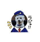 動くめろちスタンプ（個別スタンプ：11）