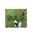 動くめろちスタンプ（個別スタンプ：13）