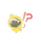 動くめろちスタンプ（個別スタンプ：14）