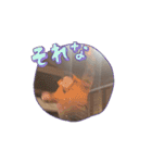 動くよぉ～（個別スタンプ：16）