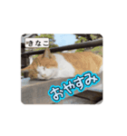 クロクロのクロッチ②（個別スタンプ：2）