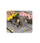 クロクロのクロッチ②（個別スタンプ：4）