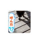 クロクロのクロッチ②（個別スタンプ：5）
