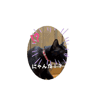 クロクロのクロッチ②（個別スタンプ：6）
