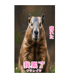 台湾語マーモットBIGスタンプ（個別スタンプ：21）