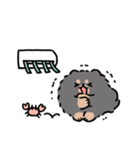夏とポメトーン（文字なし）（個別スタンプ：19）