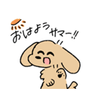 夏のあしのみじかいいぬ（個別スタンプ：1）
