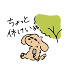 夏のあしのみじかいいぬ（個別スタンプ：5）