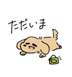 夏のあしのみじかいいぬ（個別スタンプ：7）