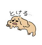 夏のあしのみじかいいぬ（個別スタンプ：9）