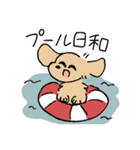 夏のあしのみじかいいぬ（個別スタンプ：13）