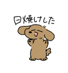 夏のあしのみじかいいぬ（個別スタンプ：25）
