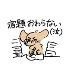 夏のあしのみじかいいぬ（個別スタンプ：29）