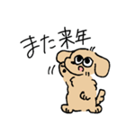 夏のあしのみじかいいぬ（個別スタンプ：31）