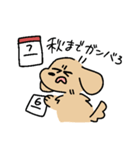 夏のあしのみじかいいぬ（個別スタンプ：32）