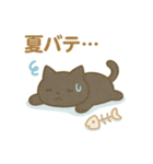 ふわねこ日和・サマーデイズ（個別スタンプ：10）