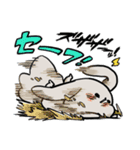 グレーのロップイヤーさん【夏】（個別スタンプ：16）