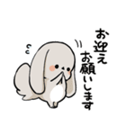 グレーのロップイヤーさん【夏】（個別スタンプ：22）
