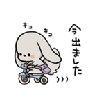グレーのロップイヤーさん【夏】（個別スタンプ：23）