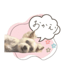 チワマル ブラン♡part3（個別スタンプ：5）