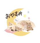 チワマル ブラン♡part3（個別スタンプ：19）