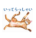 水彩を感じるにゃんこスタンプ（個別スタンプ：29）