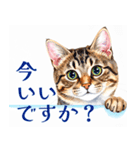 水彩を感じるにゃんこスタンプ（個別スタンプ：31）