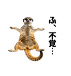 見張り上手なミーアキャットの日常（個別スタンプ：32）