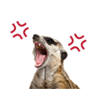 見張り上手なミーアキャットの日常（個別スタンプ：35）