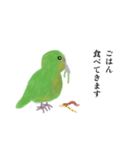 カカポの日常スタンプ（個別スタンプ：9）