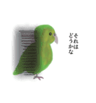 カカポの日常スタンプ（個別スタンプ：22）