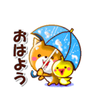 コタとピヨいつも仲良し。日常の連絡用に（個別スタンプ：2）
