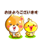 コタとピヨいつも仲良し。日常の連絡用に（個別スタンプ：4）