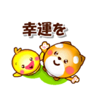 コタとピヨいつも仲良し。日常の連絡用に（個別スタンプ：37）