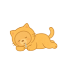 ねこグマのまったりした日々（個別スタンプ：8）