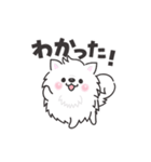 動く白くてふわふわのわんこ（待ち合わせ）（個別スタンプ：1）