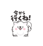 動く白くてふわふわのわんこ（待ち合わせ）（個別スタンプ：10）