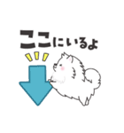 動く白くてふわふわのわんこ（待ち合わせ）（個別スタンプ：22）