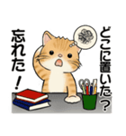 笑顔を運ぶ猫たち♡ シニアさんあるある（個別スタンプ：3）