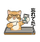 笑顔を運ぶ猫たち♡ シニアさんあるある（個別スタンプ：5）