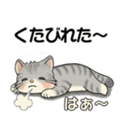 笑顔を運ぶ猫たち♡ シニアさんあるある（個別スタンプ：9）