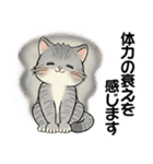 笑顔を運ぶ猫たち♡ シニアさんあるある（個別スタンプ：11）