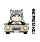 笑顔を運ぶ猫たち♡ シニアさんあるある（個別スタンプ：13）