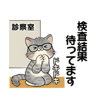 笑顔を運ぶ猫たち♡ シニアさんあるある（個別スタンプ：14）