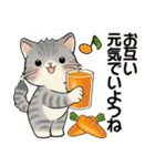 笑顔を運ぶ猫たち♡ シニアさんあるある（個別スタンプ：16）